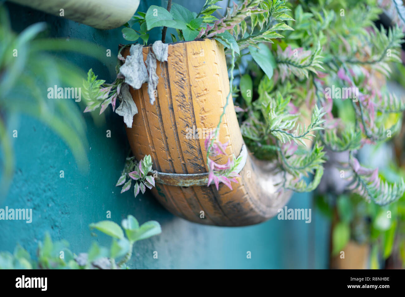 Un veicolo usato pneumatico tagliato a metà per rendere una parete appeso pot per le piante. Foto Stock