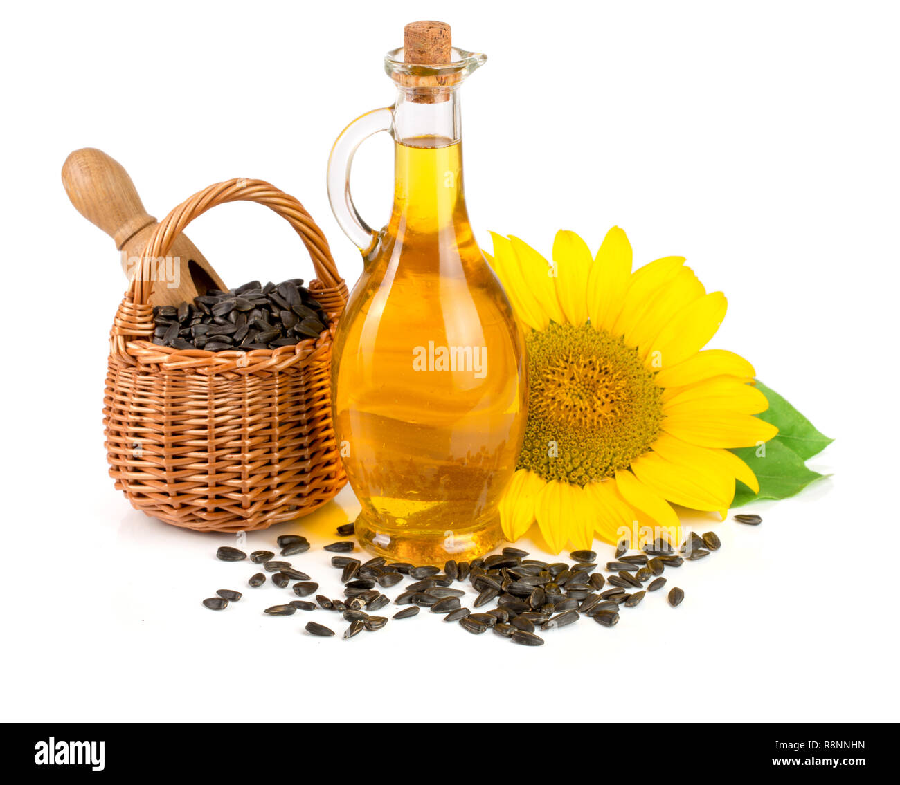 Olio di semi di girasole, semi e fiori isolati su sfondo bianco Foto Stock