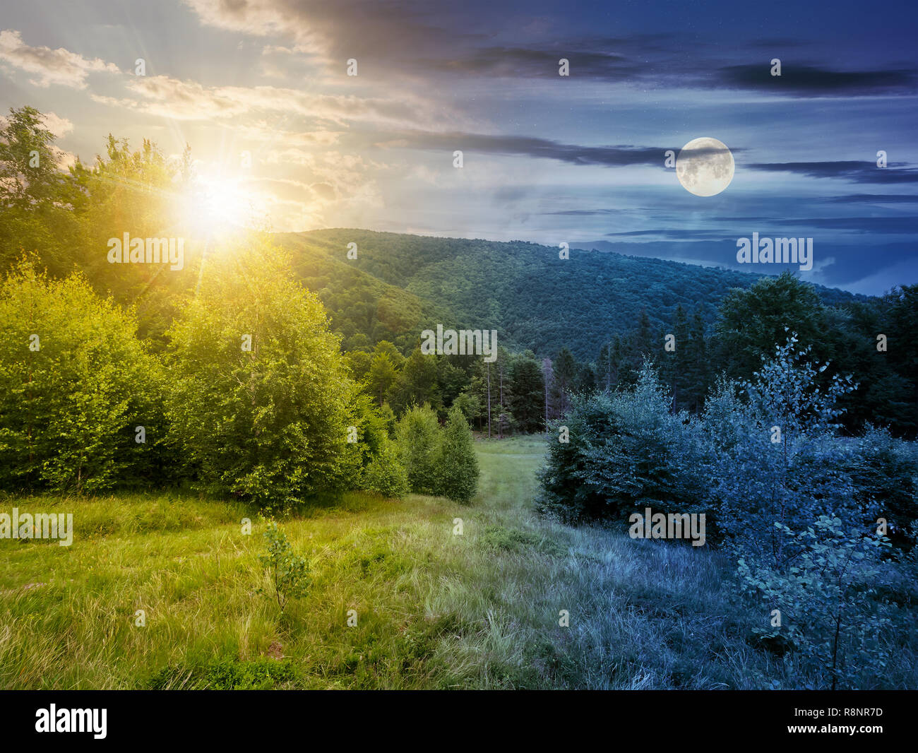 Il giorno e la notte e cambiare idea. area forestale in montagna con il sole e la luna. calma della natura con il verde prato erboso e cielo molto nuvoloso Foto Stock