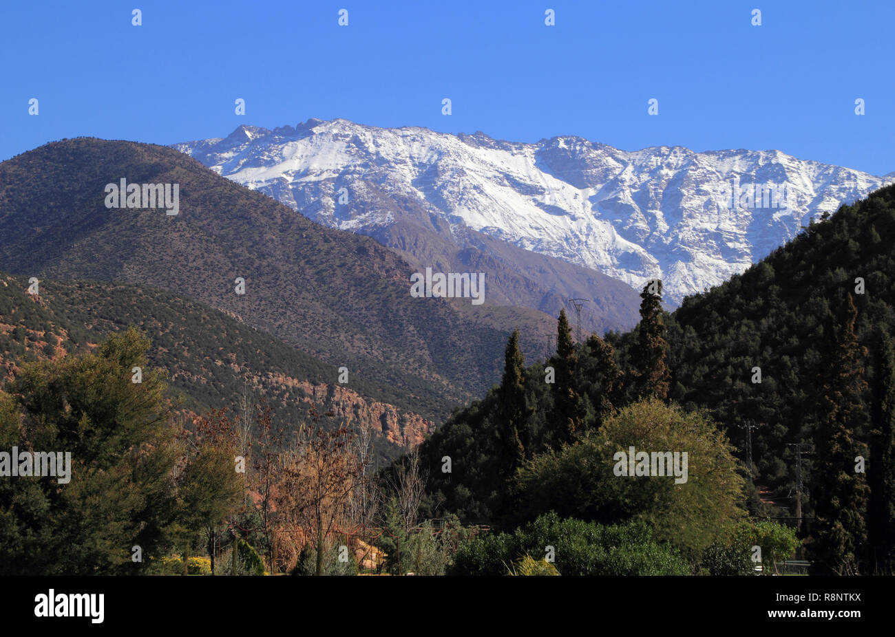 Il Marocco Marrakech l'Alto Atlante Mountain Range e una fertile valle fluviale in Toubkal National Park Foto Stock