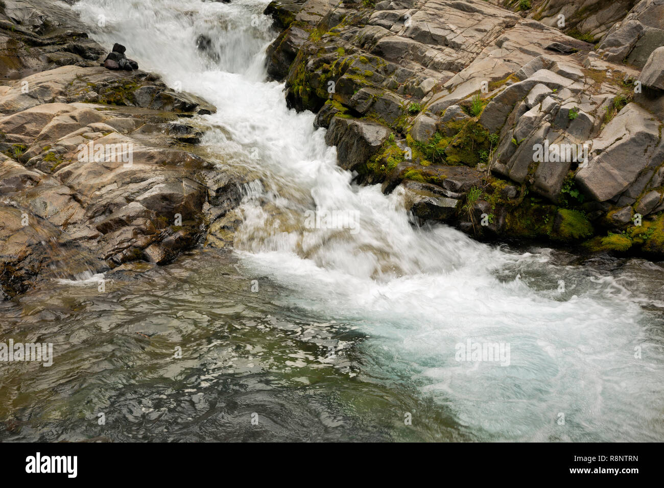 WA15562-00...WASHINGTON - Cascata alla base della cascata su Falls Creek in Van Trump Creek Valley di Mount Rainier National Park. Foto Stock