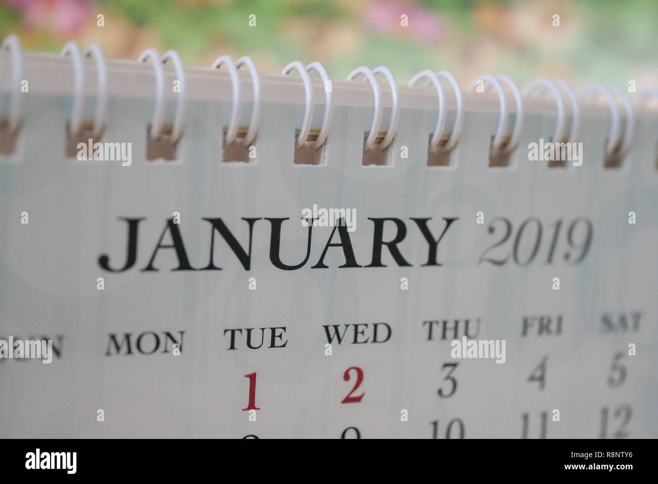 Chiudere il calendario del mese di gennaio 2019 Foto Stock