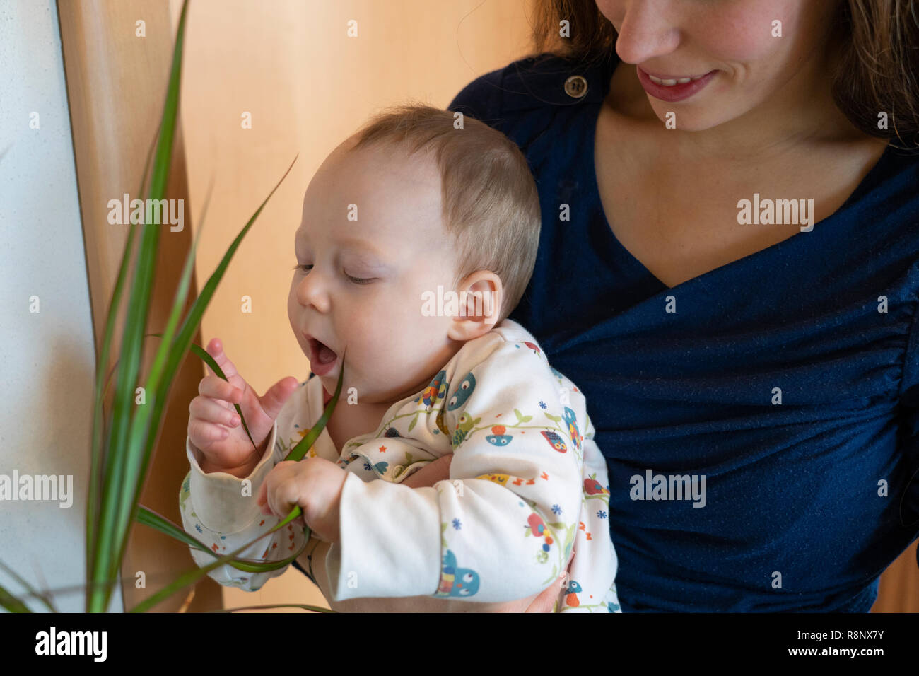 Una bambina tenuto da sua madre felice ed esplorare il suo ambiente giocando con una pianta di casa Foto Stock