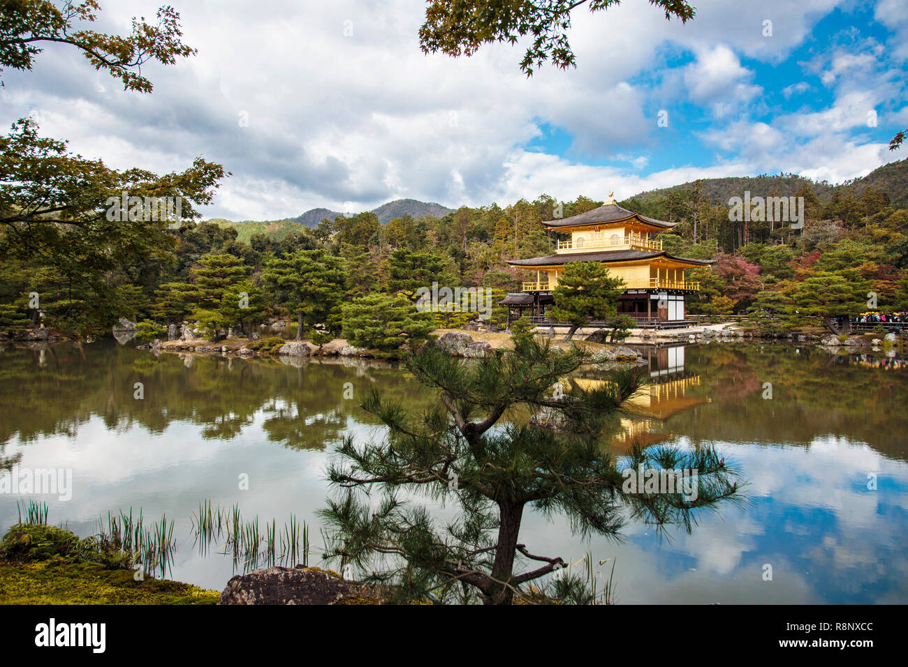 Tempio d'oro Padiglione a Kyoto, Giappone Foto Stock