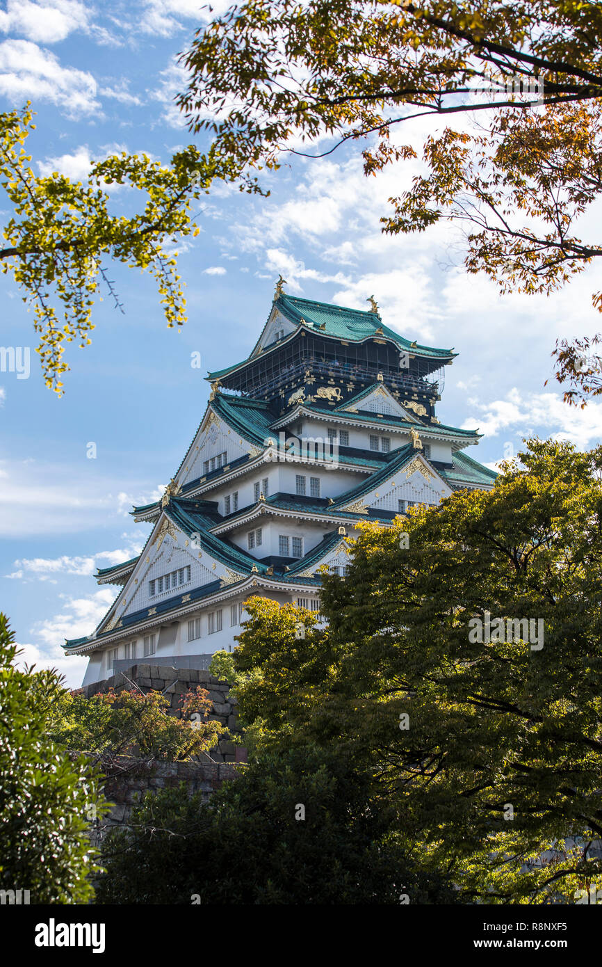 Una vignette di alberi attraverso una splendida vista del Castello di Osaka in Giappone Foto Stock