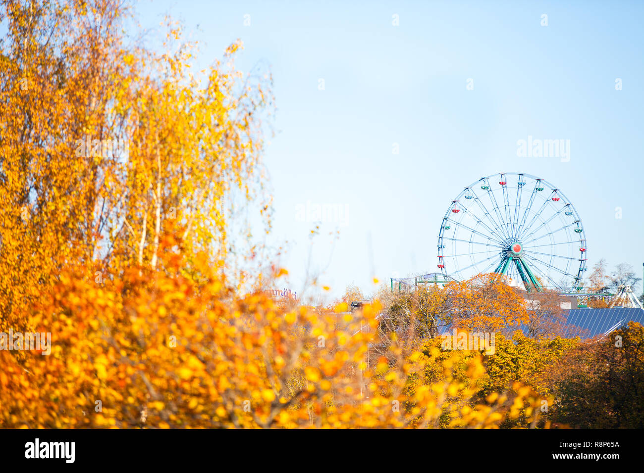 Vista di Linnanmaki Amusement Park attraverso il golden fogliame, Kallio, Helsinki, Finlandia Foto Stock