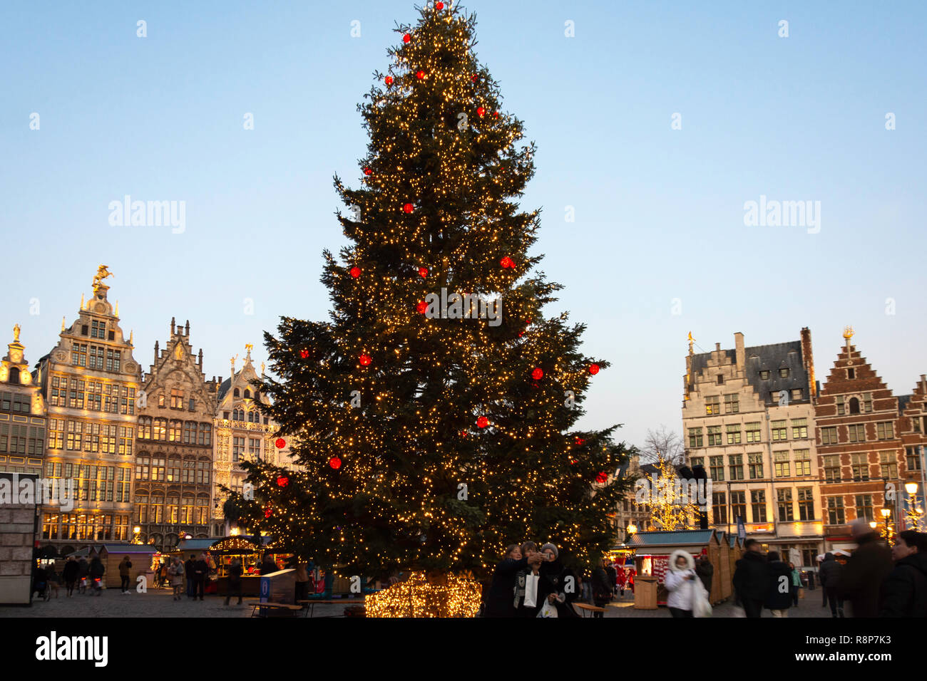 Albero di natale di Anversa Mercatino di Natale, Grote Markt di Anversa (Antwerpen), Provincia di Anversa, la regione fiamminga, Belgio Foto Stock