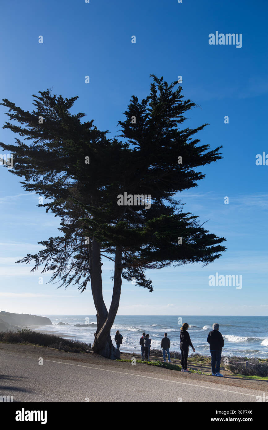La pietra di luna Beach Boardwalk Cambria sulla costa centrale della California, Stati Uniti d'America. Foto Stock