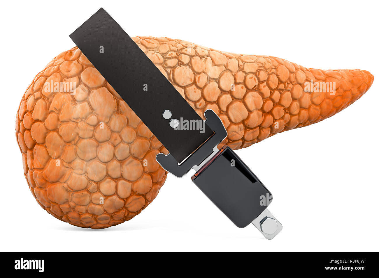 Pancreas umano con cintura di sicurezza, proteggere il concetto. 3D rendering isolati su sfondo bianco Foto Stock