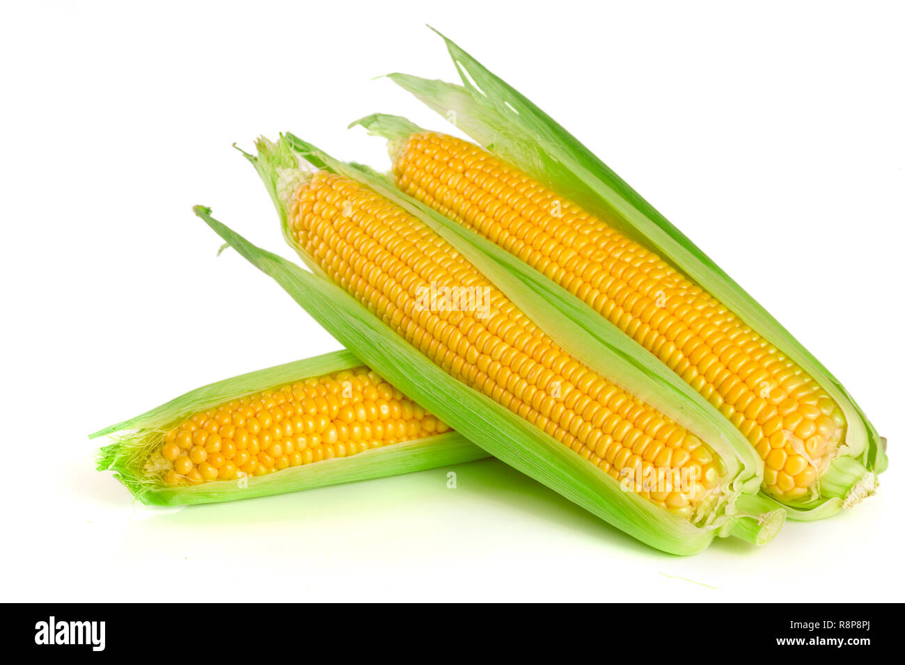 Spiga del granoturco isolato su uno sfondo bianco Foto Stock