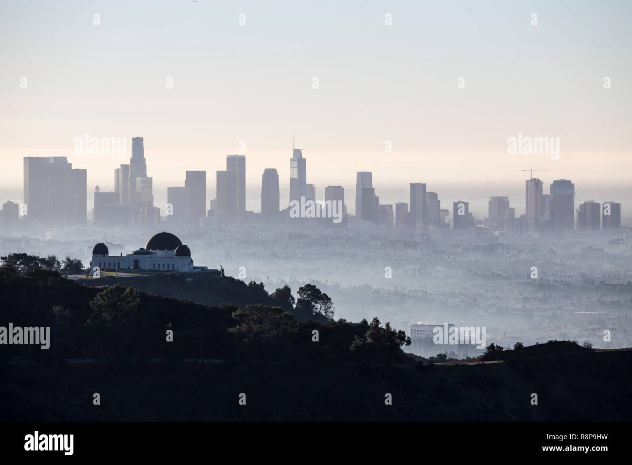 Fumoso mattina presto vista del centro cittadino di Los Angeles dal popolare parco Griffith al di sopra di Hollywood, in California. Foto Stock