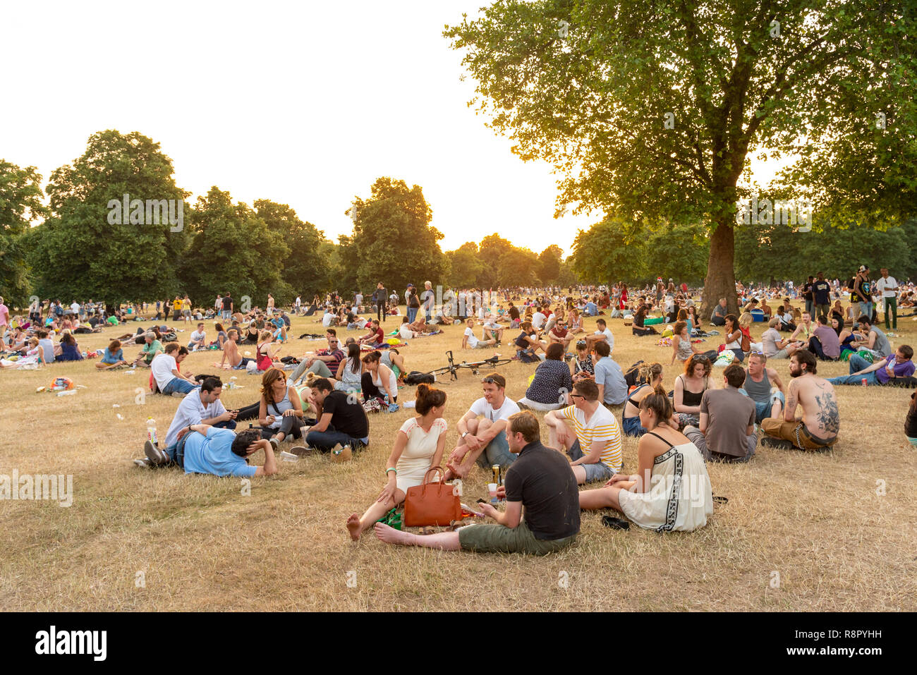 Giovani rilassante in Hyde Park in una serata estiva, London, Regno Unito Foto Stock