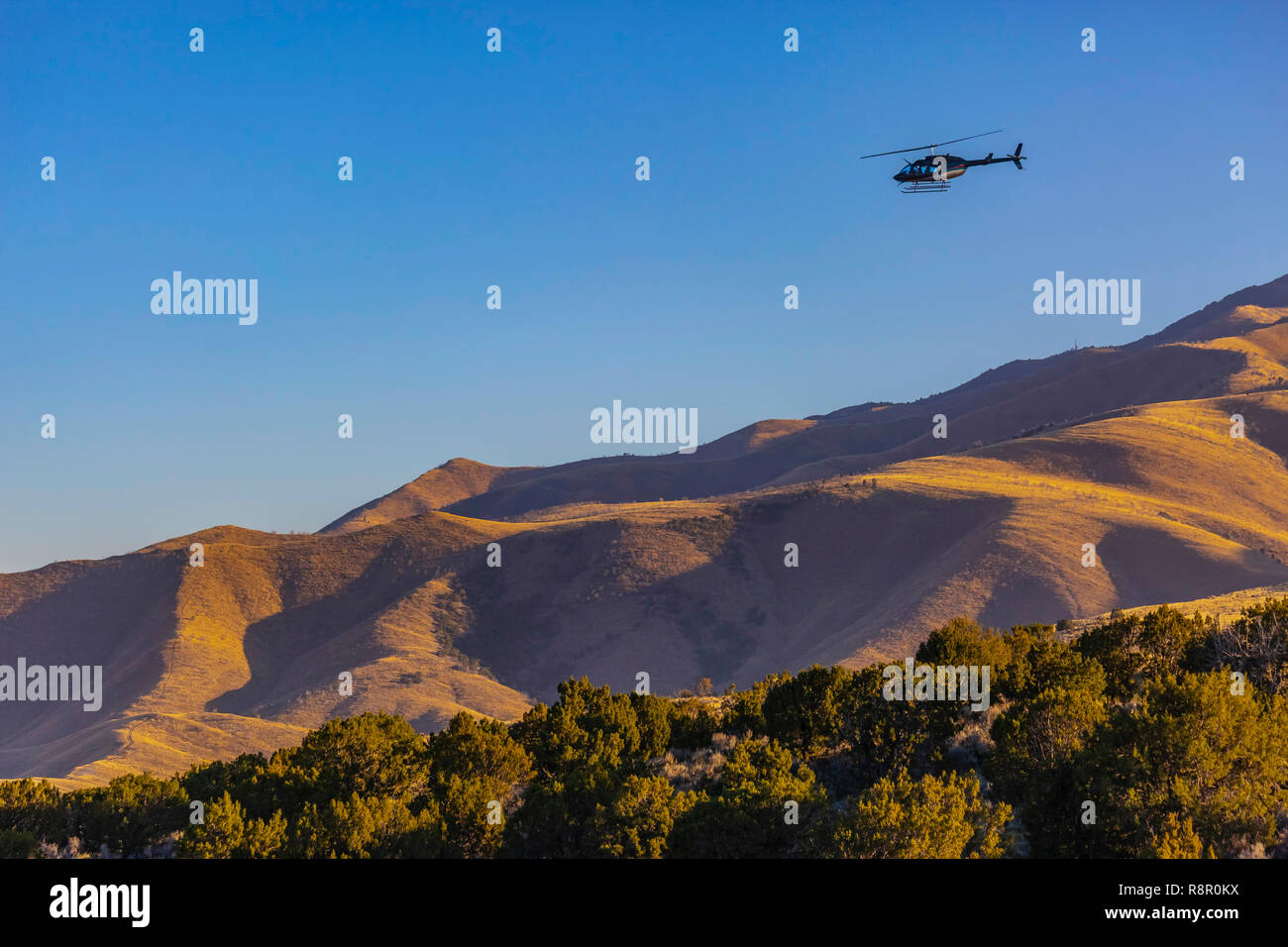 Elicottero si libra sul canyon in Saratoga Springs Foto Stock