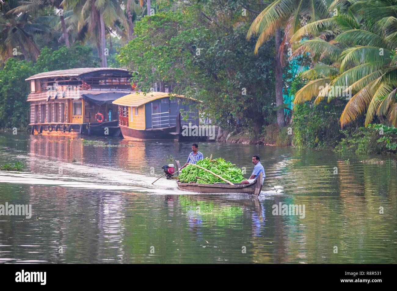 India, stato del Kerala, Kumarakom, paesino immerso nella cornice del Lago Vembanad, crociera sul backwaters (lagune e canali reti) con una kettuvallam (casa tradizionale barca) e trasporto delle banane Foto Stock