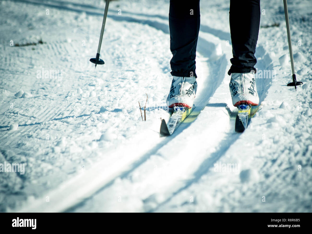 Repubblica ceca, Febbraio 2015: dettaglio delle gambe di un Sci di fondo Man. Foto Stock