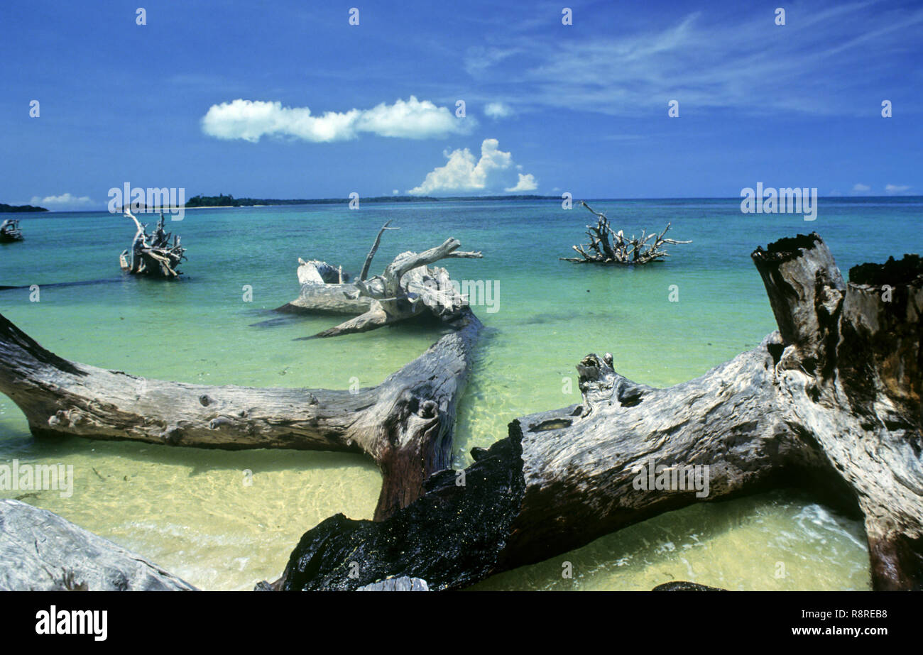 Wandour Beach, Port Blair, isole Andaman, India Foto Stock