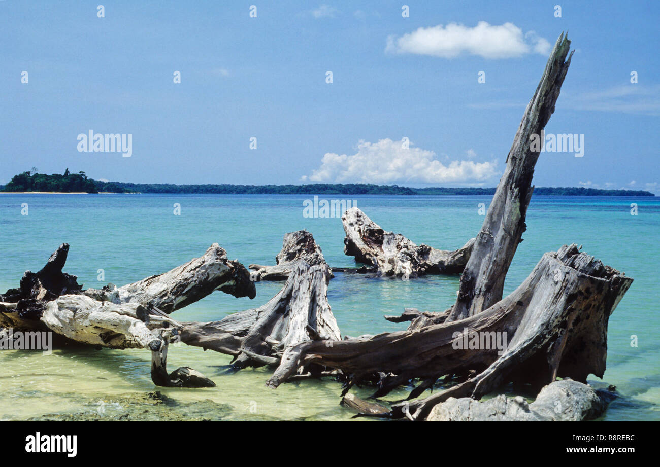 Wandour Beach, Port Blair, isole Andaman, India Foto Stock