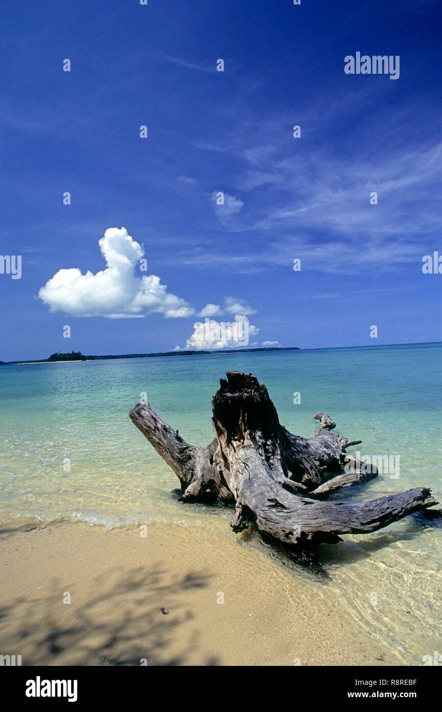 Wandour Beach, Port Blair, isole Andaman, India Foto Stock
