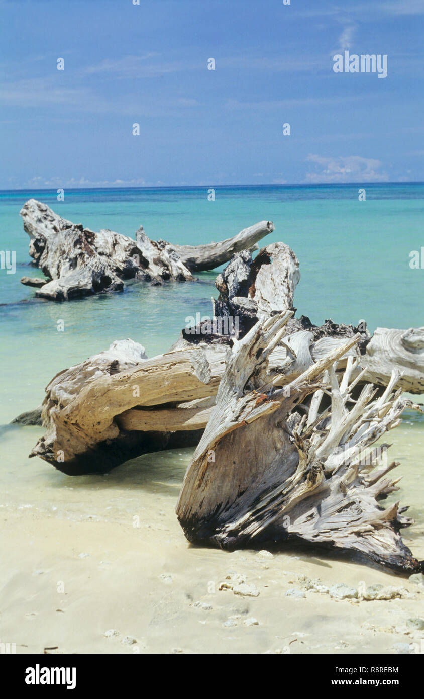 Wandour Beach, Port Blair, isole Andaman, India Foto Stock