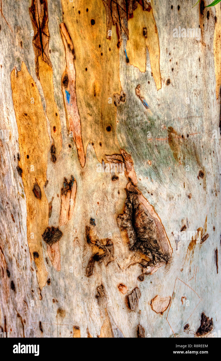 Abstract Sfondo legno Legno superficie texture di superficie in legno Foto Stock