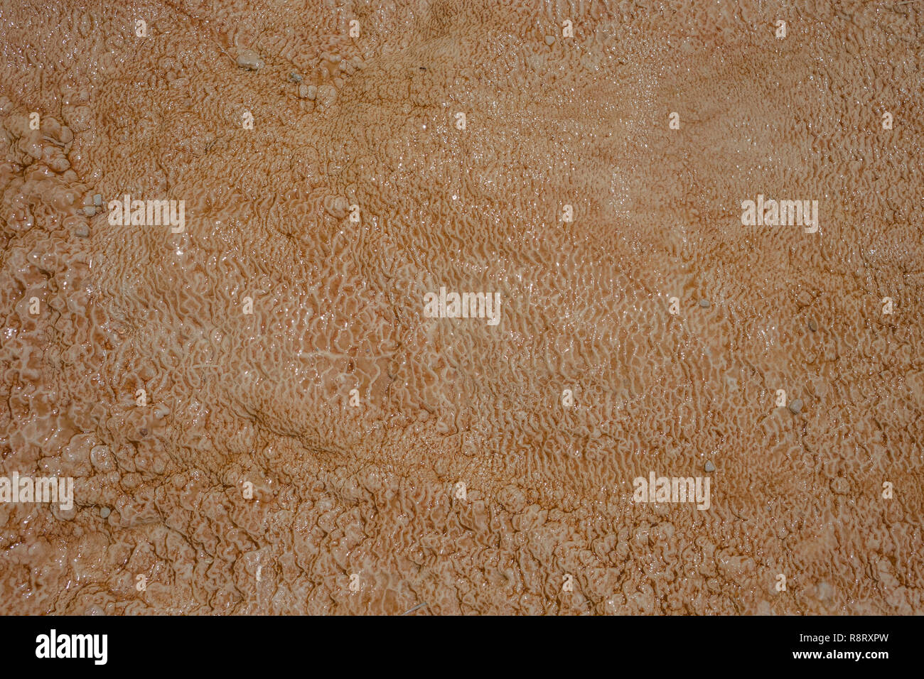 Texture della formazione astratta di minerali di pietra, traverten Foto Stock