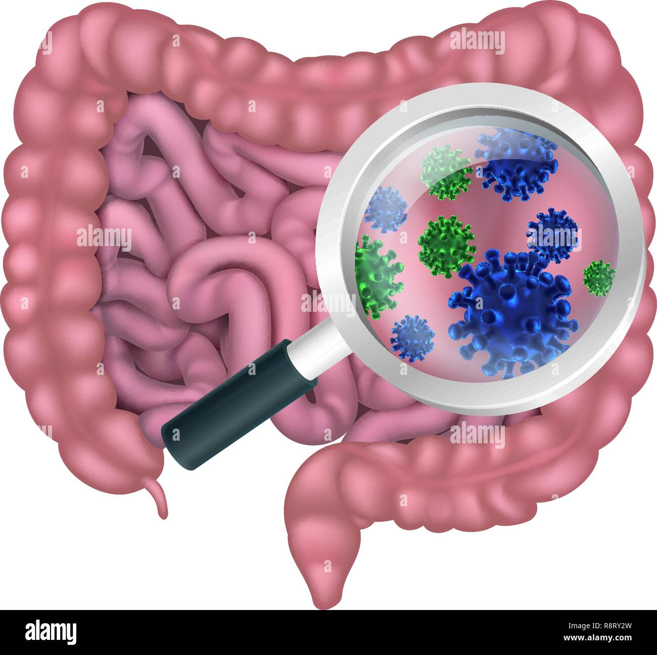 Batteri intestinali intestino probiotici flora digestiva Illustrazione Vettoriale