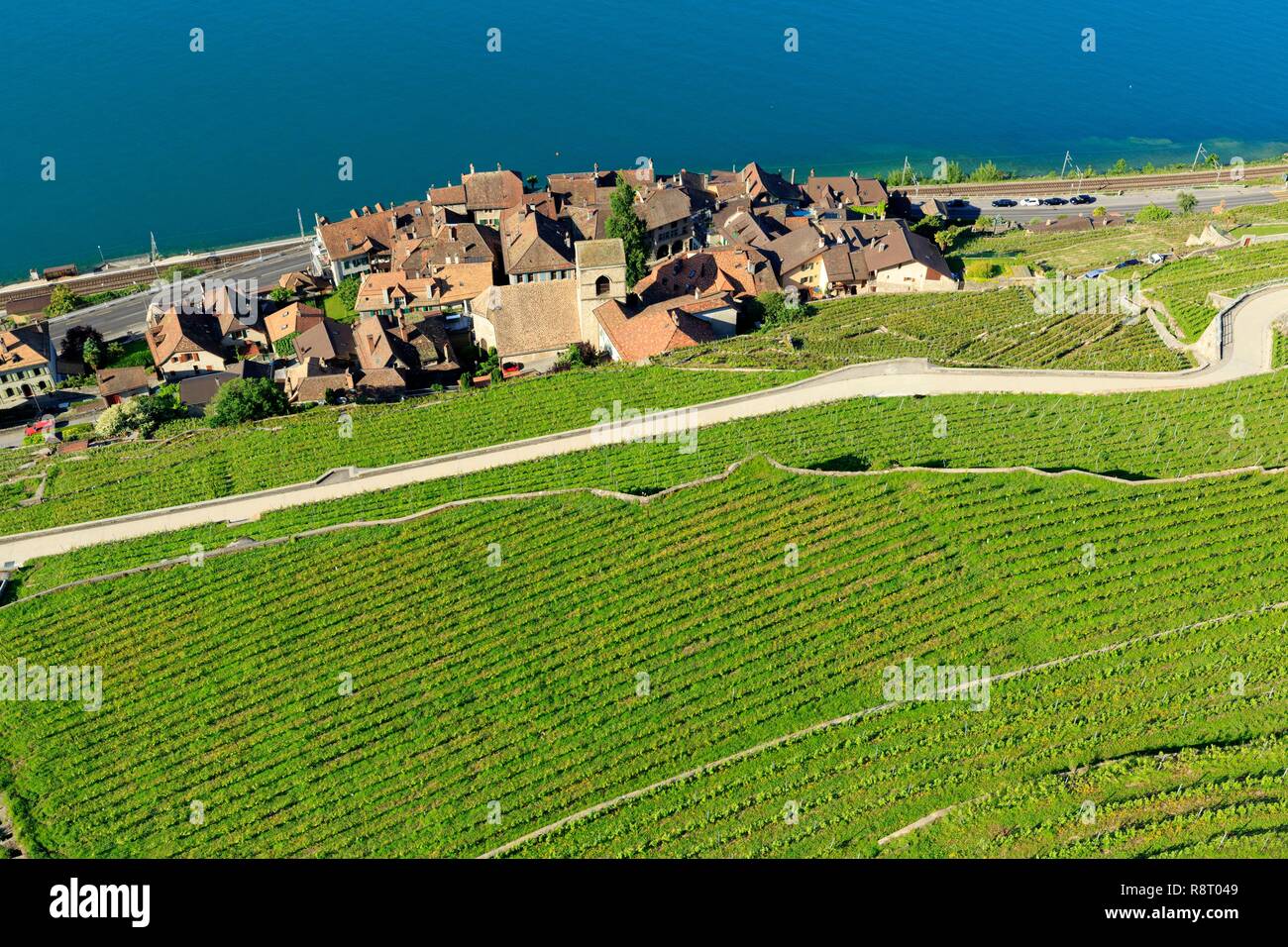 La Svizzera, canton Vaud, sul Lago di Ginevra, Lavaux osui distretto, Lavaux, vigneti terrazzati, Sito Patrimonio Mondiale dell'UNESCO, Saint Saphorin (vista aerea) Foto Stock