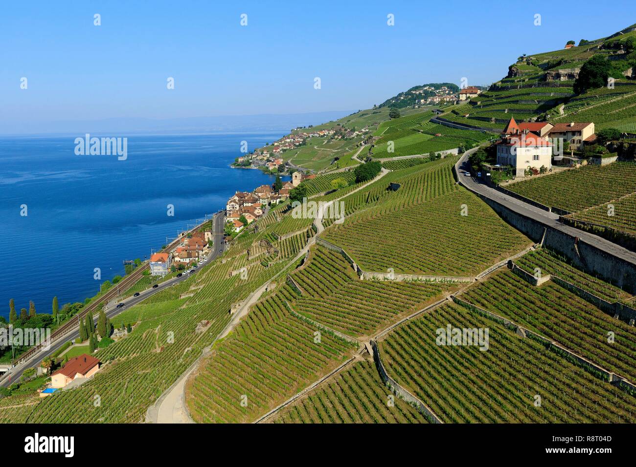 La Svizzera, canton Vaud, sul Lago di Ginevra, Lavaux osui distretto, Lavaux, vigneti terrazzati, Sito Patrimonio Mondiale dell'UNESCO, Saint Saphorin (vista aerea) Foto Stock