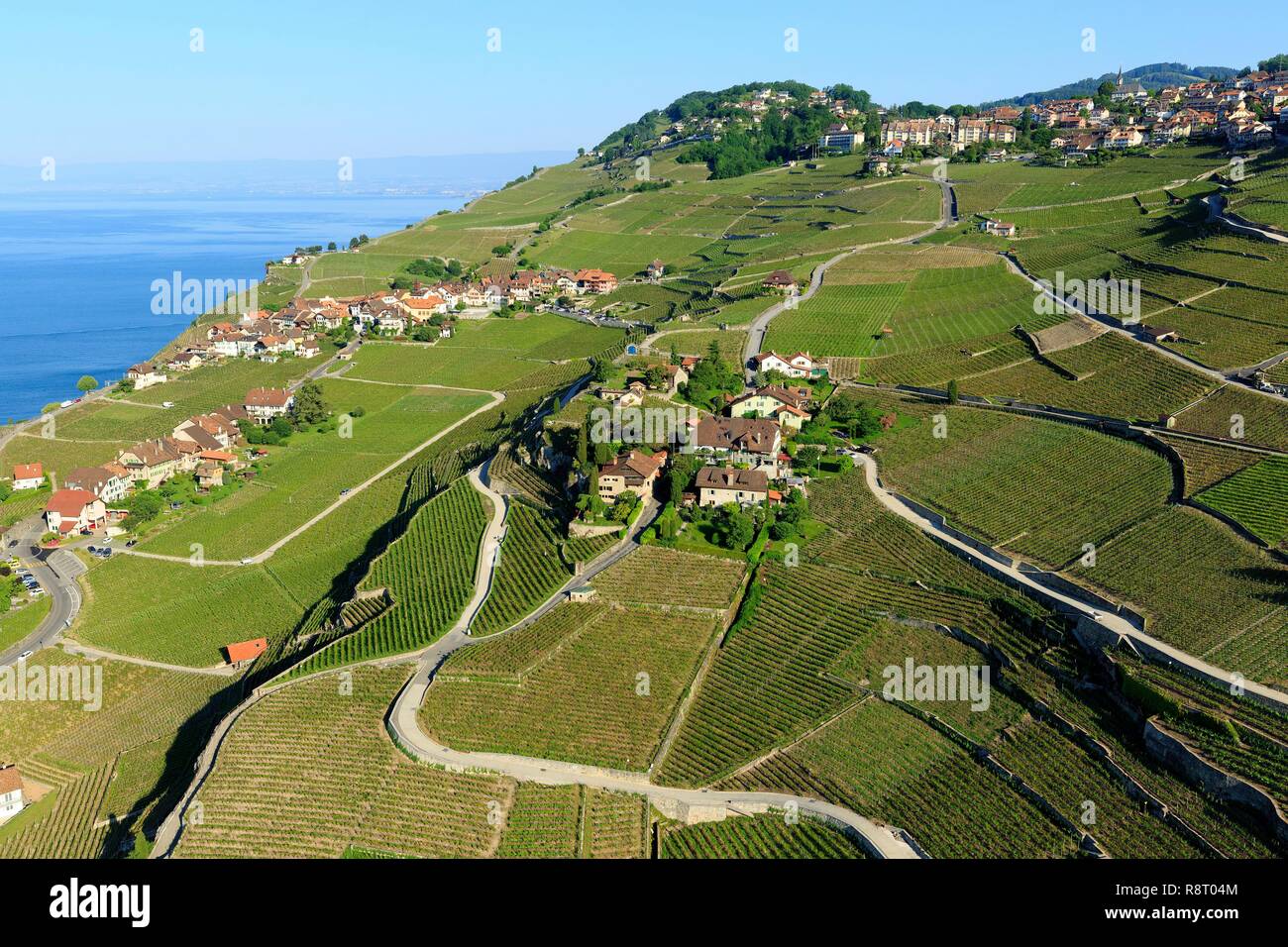 La Svizzera, canton Vaud, sul Lago di Ginevra, Distretto di Lavaux osui, vigneti terrazzati, classificata patrimonio mondiale dall UNESCO, Rivaz, Chexbres in background (vista aerea) Foto Stock