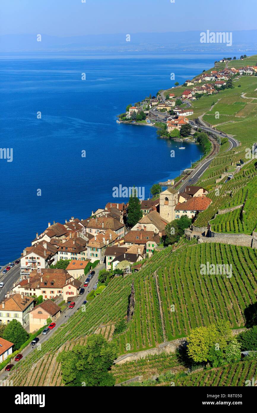 La Svizzera, canton Vaud, sul Lago di Ginevra, Lavaux osui distretto, Lavaux, vigneti terrazzati, Sito Patrimonio Mondiale dell'UNESCO, Saint Saphorin (vista aerea) Foto Stock