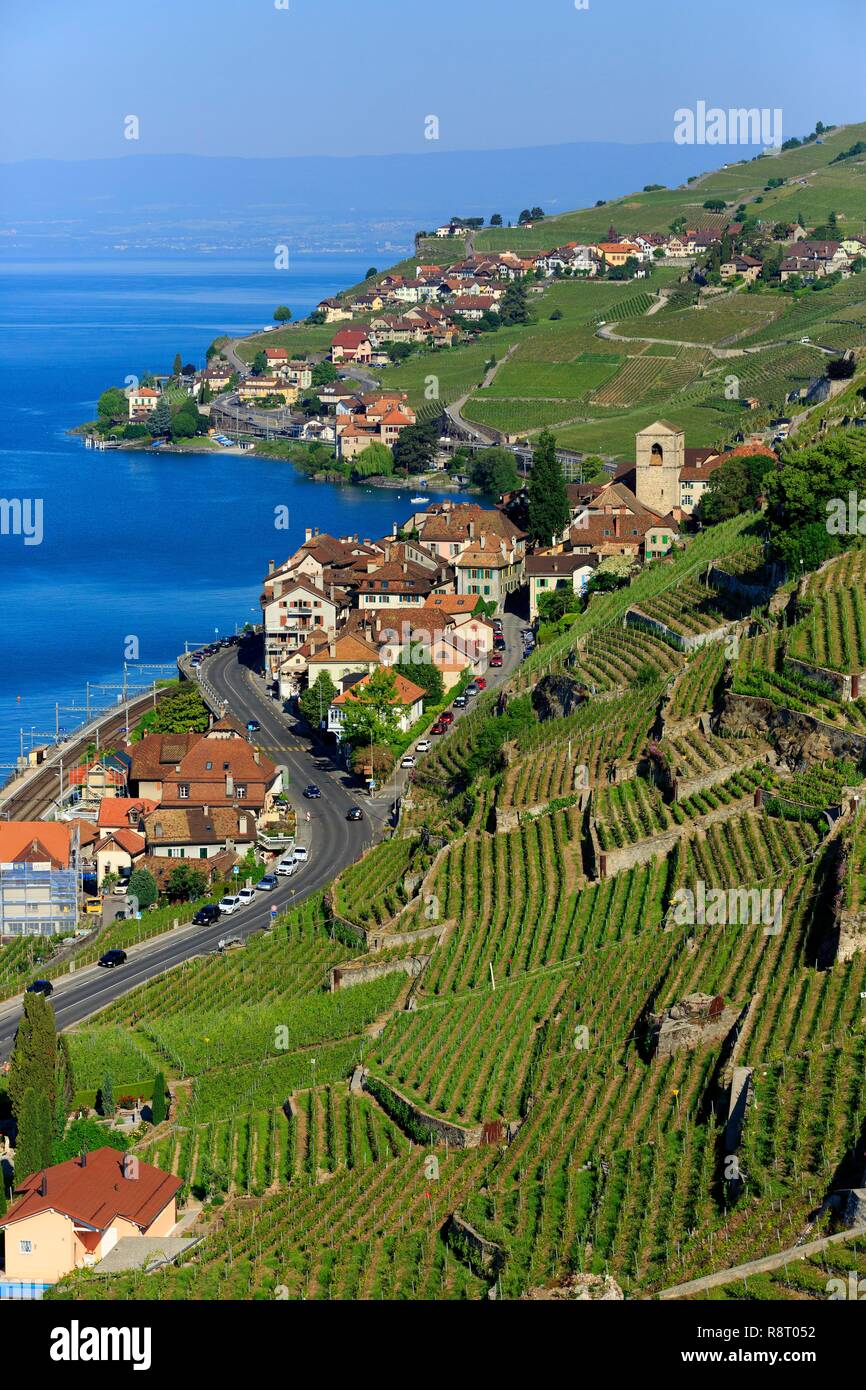 La Svizzera, canton Vaud, sul Lago di Ginevra, Lavaux osui distretto, Lavaux, vigneti terrazzati, Sito Patrimonio Mondiale dell'UNESCO, Saint Saphorin (vista aerea) Foto Stock