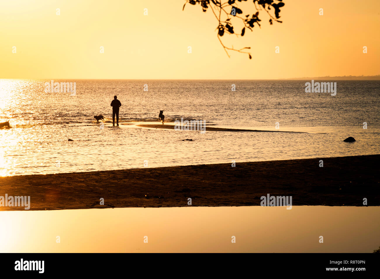Lough Neagh tramonto a città di Antrim Foto Stock