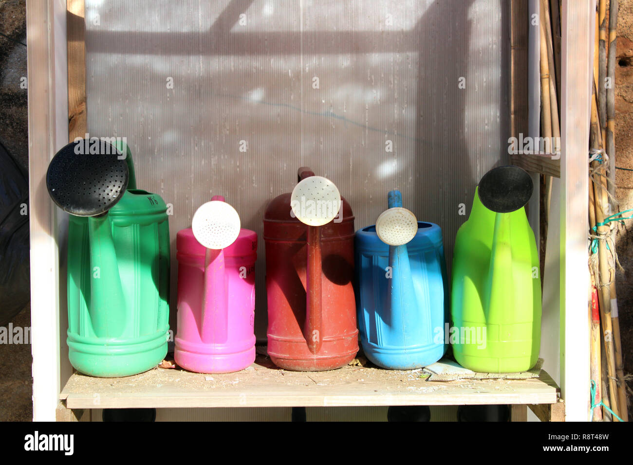 Irrigazione di plastica lattine impilate su cucina giardino ripiani Foto Stock