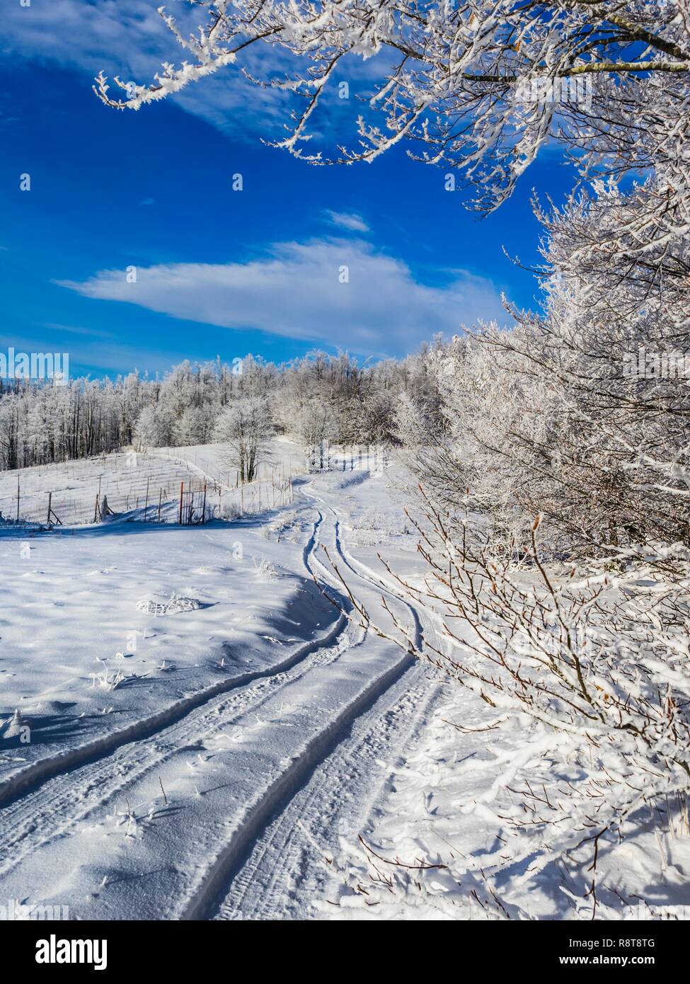 In inverno la neve-coperta paese-strada scenario del paesaggio Foto Stock
