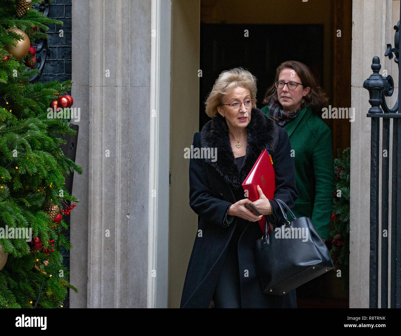 Londra, Regno Unito. Xviii Dicembre, 2018. Andrea Leadsom e la Baronessa Evans lasciare l'Armadio incontro a Downing Street. Credito: Tommy Londra/Alamy Live News Foto Stock