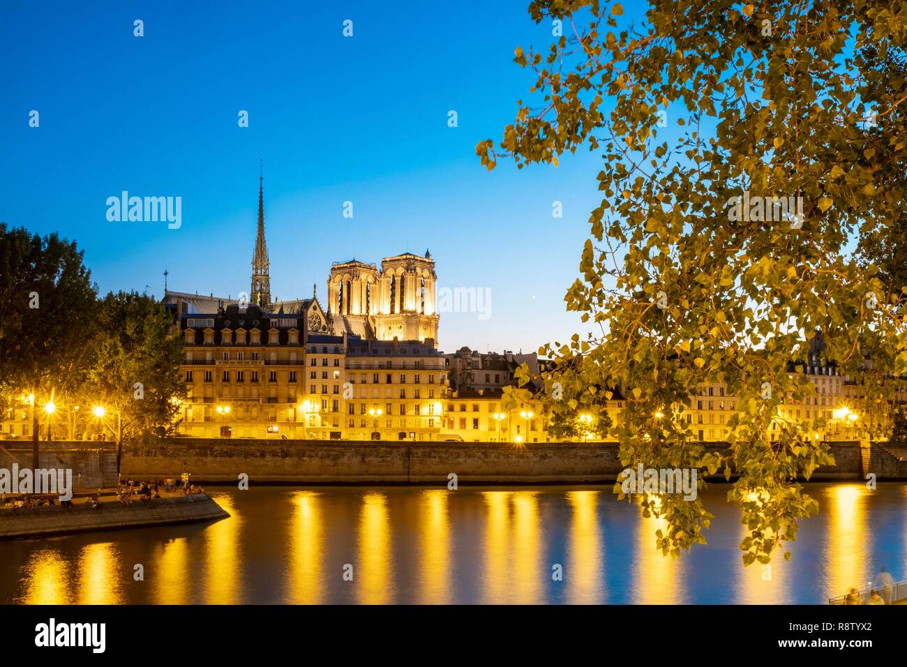 Francia, Parigi, le rive della Senna classificati dall'UNESCO, Isola di Saint Louis e la Cattedrale di Notre Dame Foto Stock