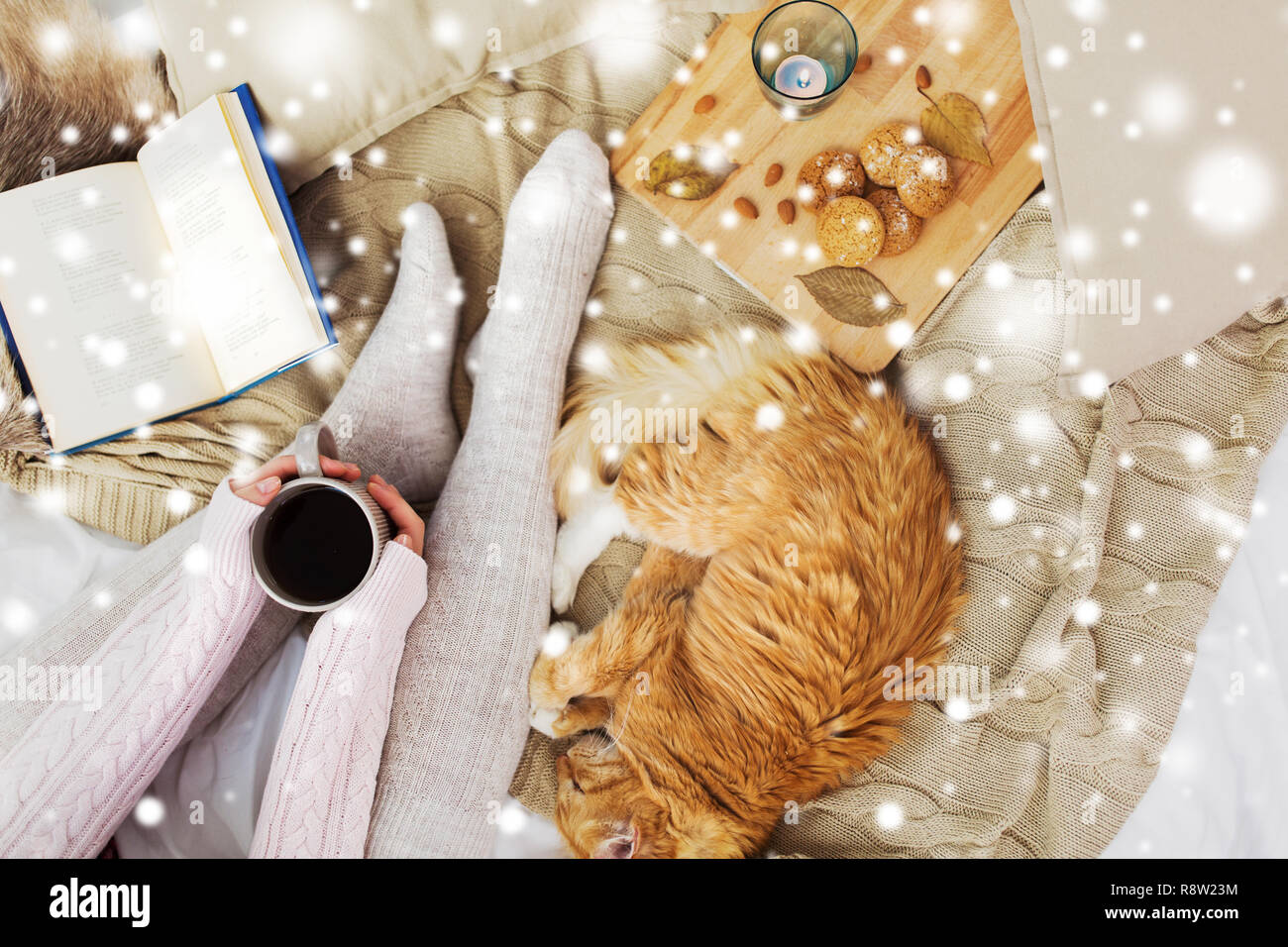 Donna con il caffè e il gatto nel letto oltre la neve Foto Stock