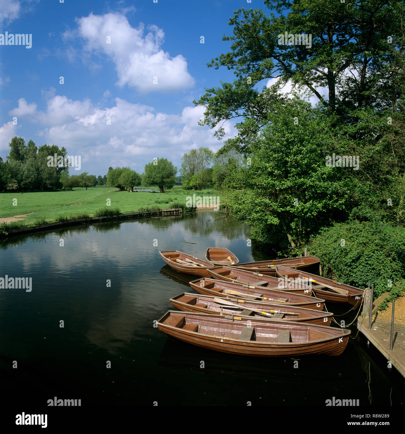 Barche a remi sul fiume Stour vicino Flatford Mill, East Bergholt, Suffolk, Inghilterra, Regno Unito, Europa Foto Stock