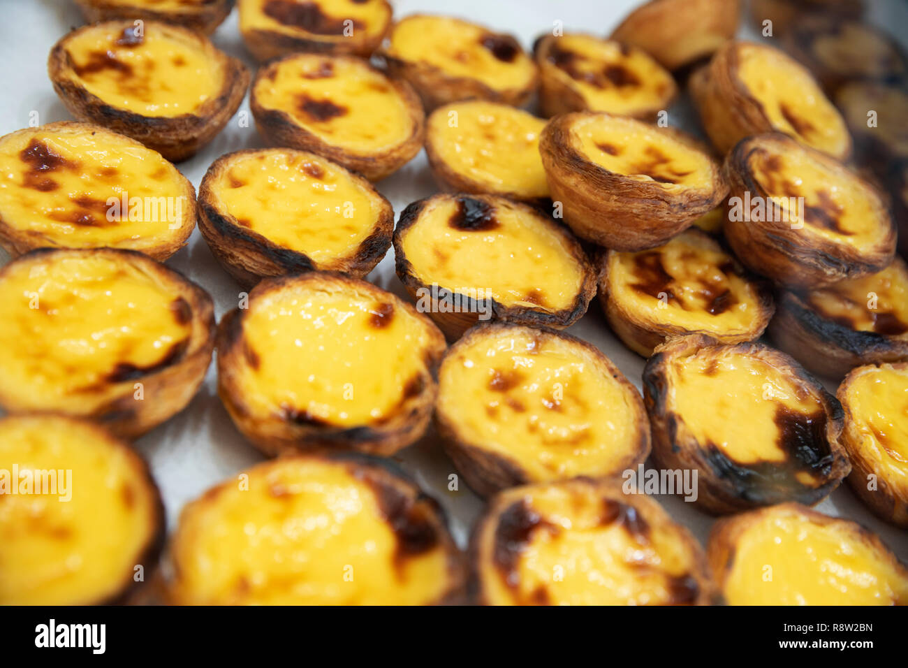 Pastel de nata portoghese crostata di uovo sfoglia visualizzato nella finestra da forno Foto Stock
