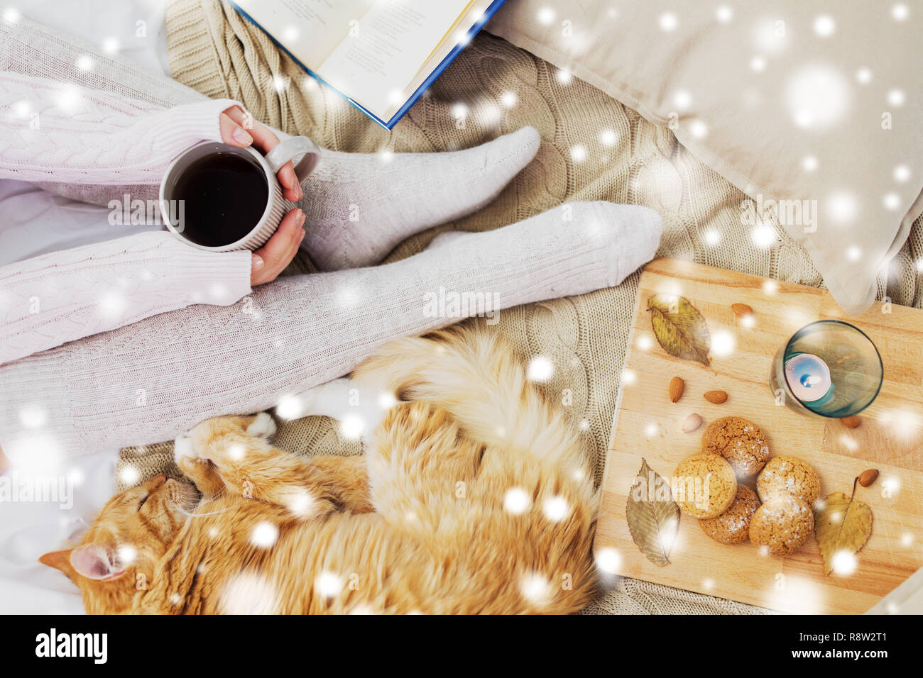 Donna con il caffè e il gatto nel letto oltre la neve Foto Stock