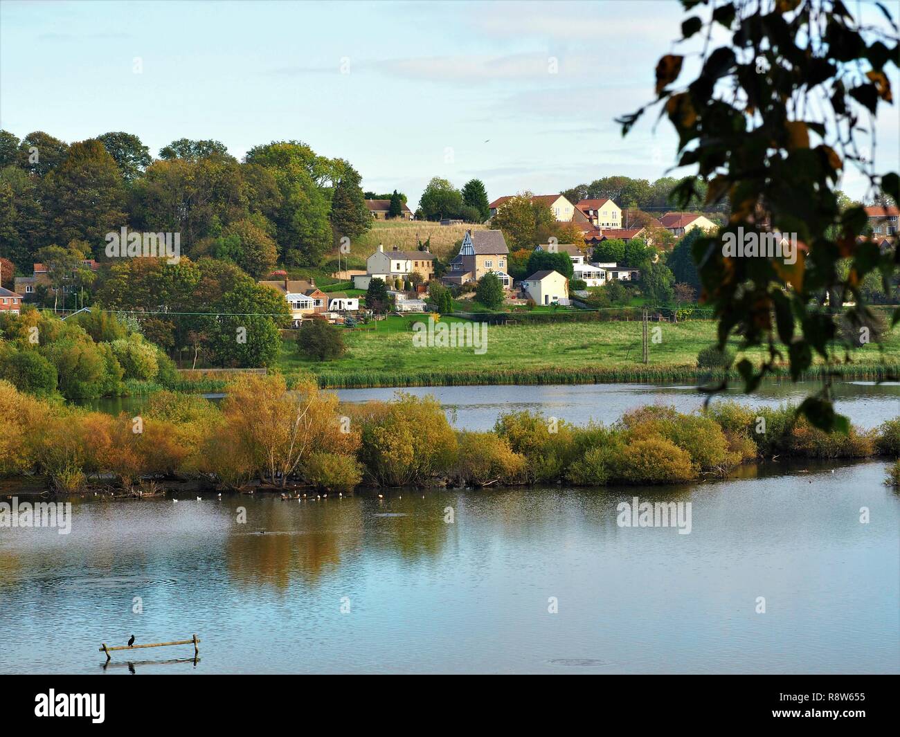 Vista su un lago a Fairburn Ings riserva naturale di Fairburn village nello Yorkshire, Inghilterra Foto Stock