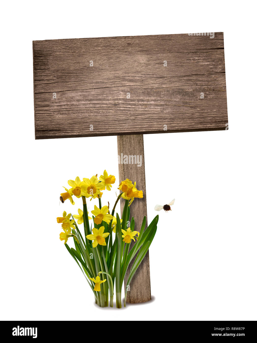 Vecchio cartello in legno scudo in legno vintage isolato Foto Stock