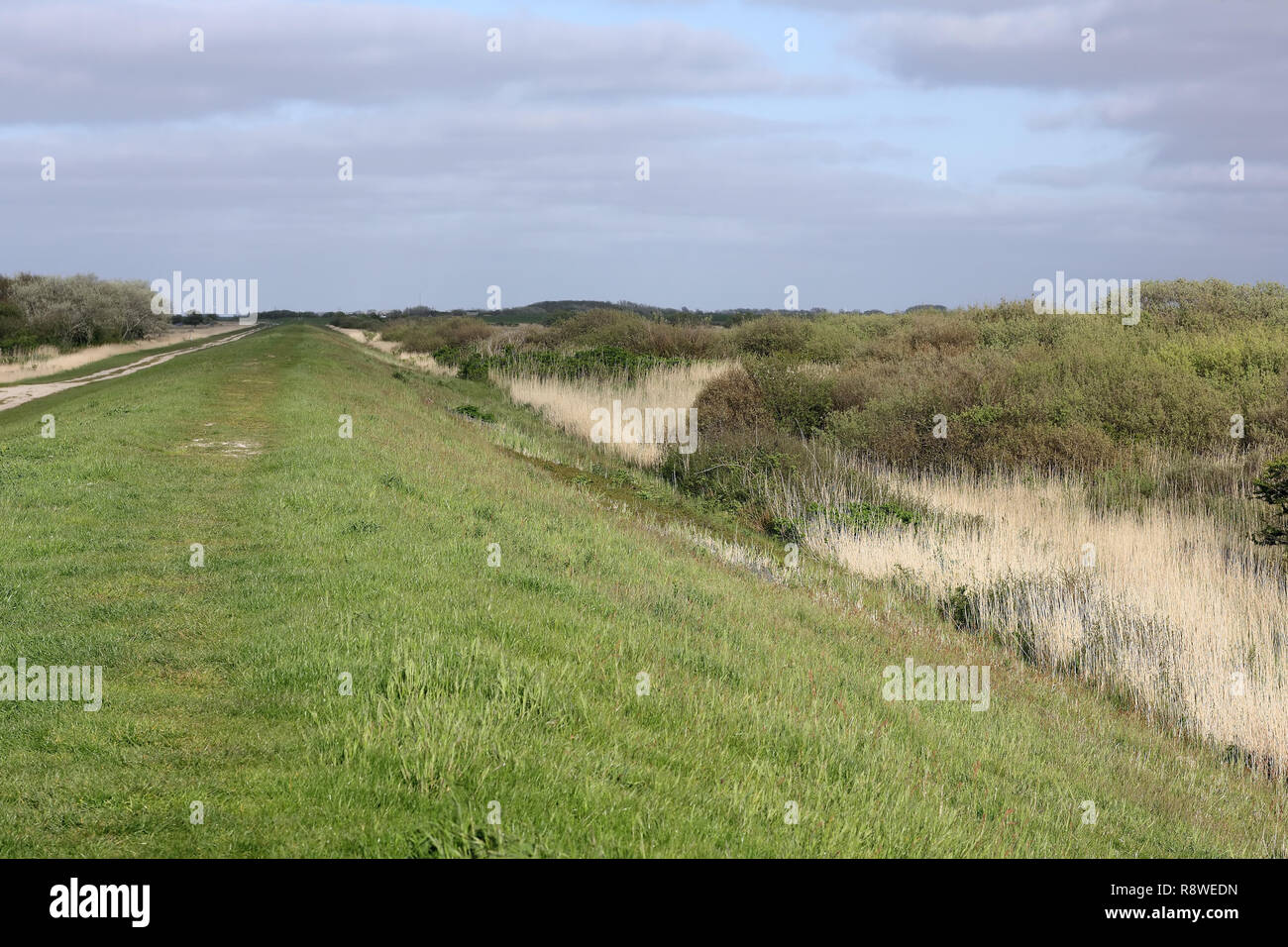 Diga del Bird Reserve Rantumbecken sull isola di Sylt Foto Stock