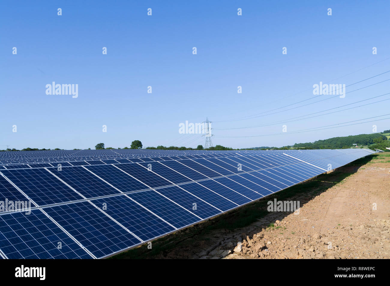 Pannello solare farm generazione di energia da fonti rinnovabili Foto Stock