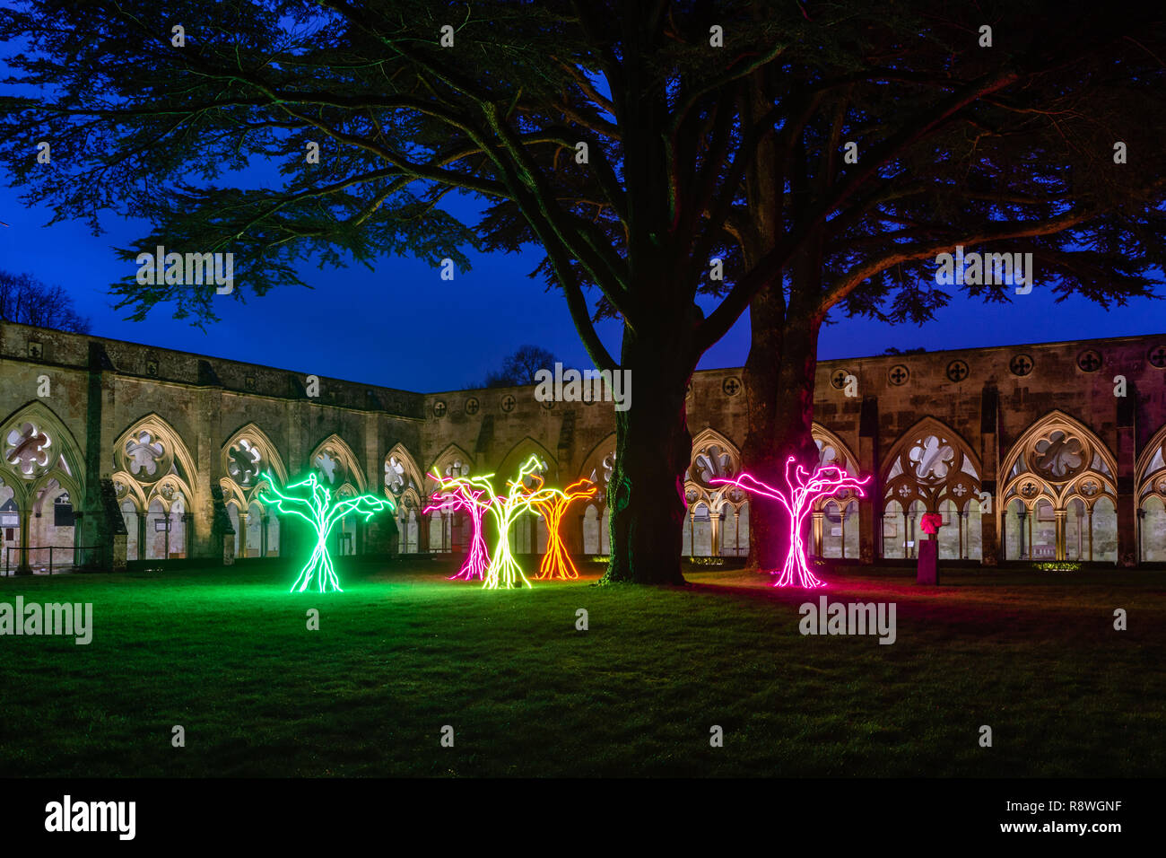 'Lumen' da David Ogle nel chiostro Garth della Cattedrale di Salisbury come parte del "dalle Tenebre alla Luce arte illuminazioni',l'Inghilterra, Regno Unito Foto Stock