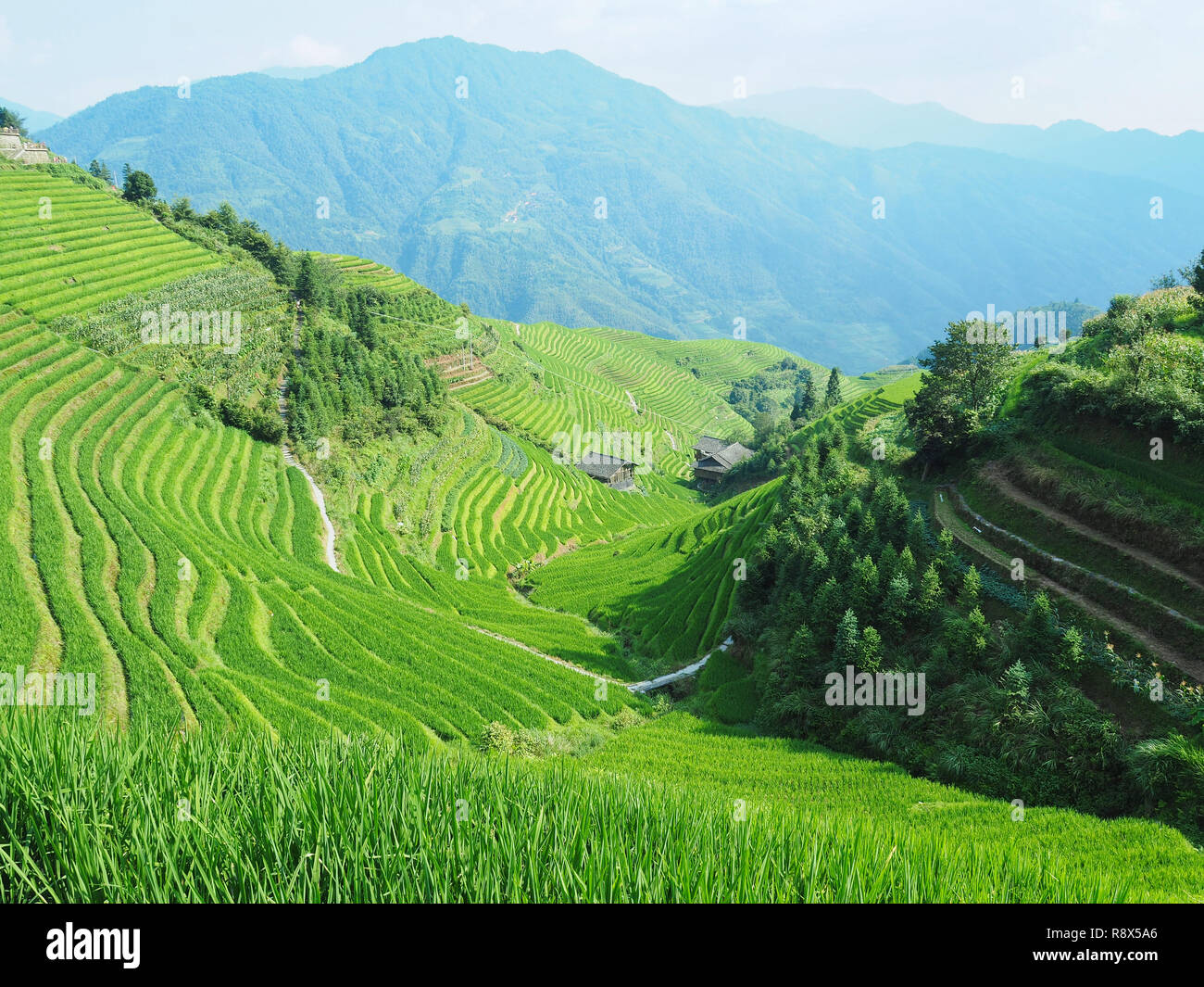 Guilin, Cina Foto Stock