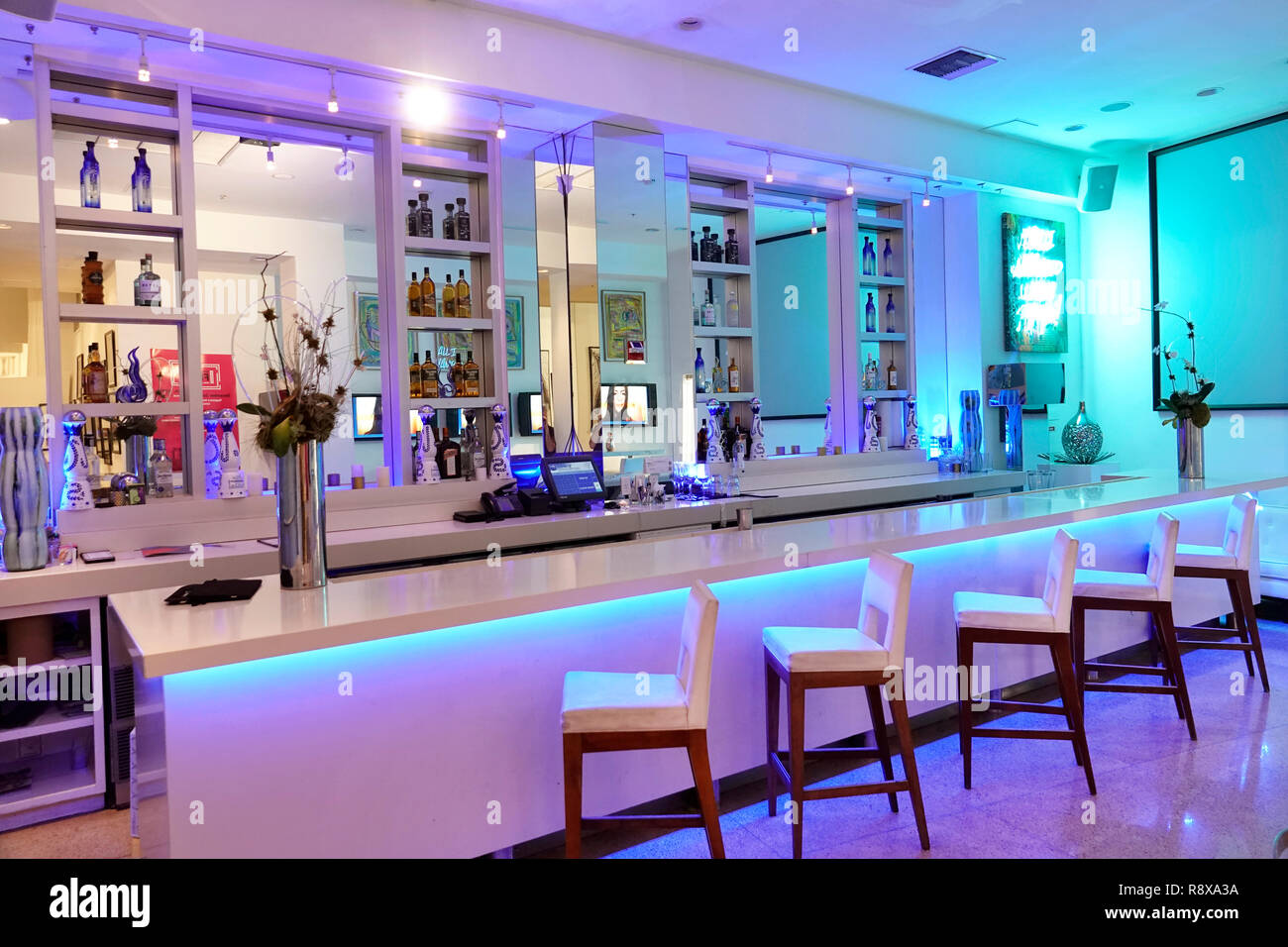 Miami Beach Florida, Collins Avenue, Sagamore, hotel, lounge bar, FL181205115 Foto Stock