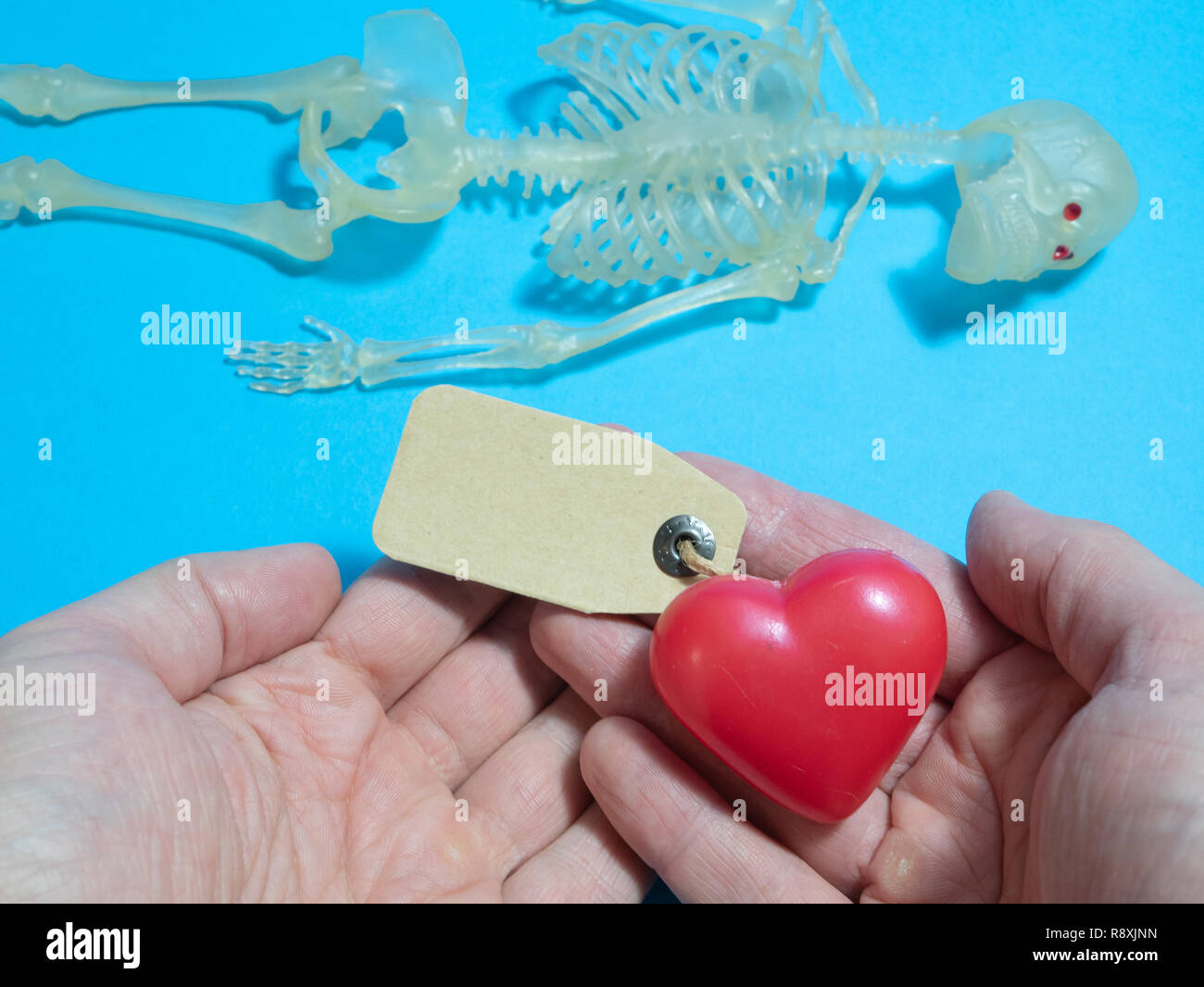 Cuore rosso con tag vuoto nelle mani degli uomini e lo scheletro del corpo sullo sfondo del donatore donazione concept Foto Stock