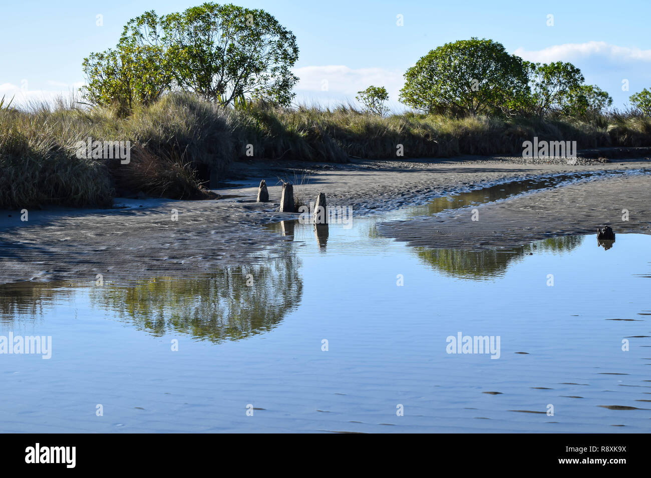 Tre vecchi posti di legno infissa a terra con acqua lagunare tutto intorno a Gisborne, Nuova Zelanda Foto Stock