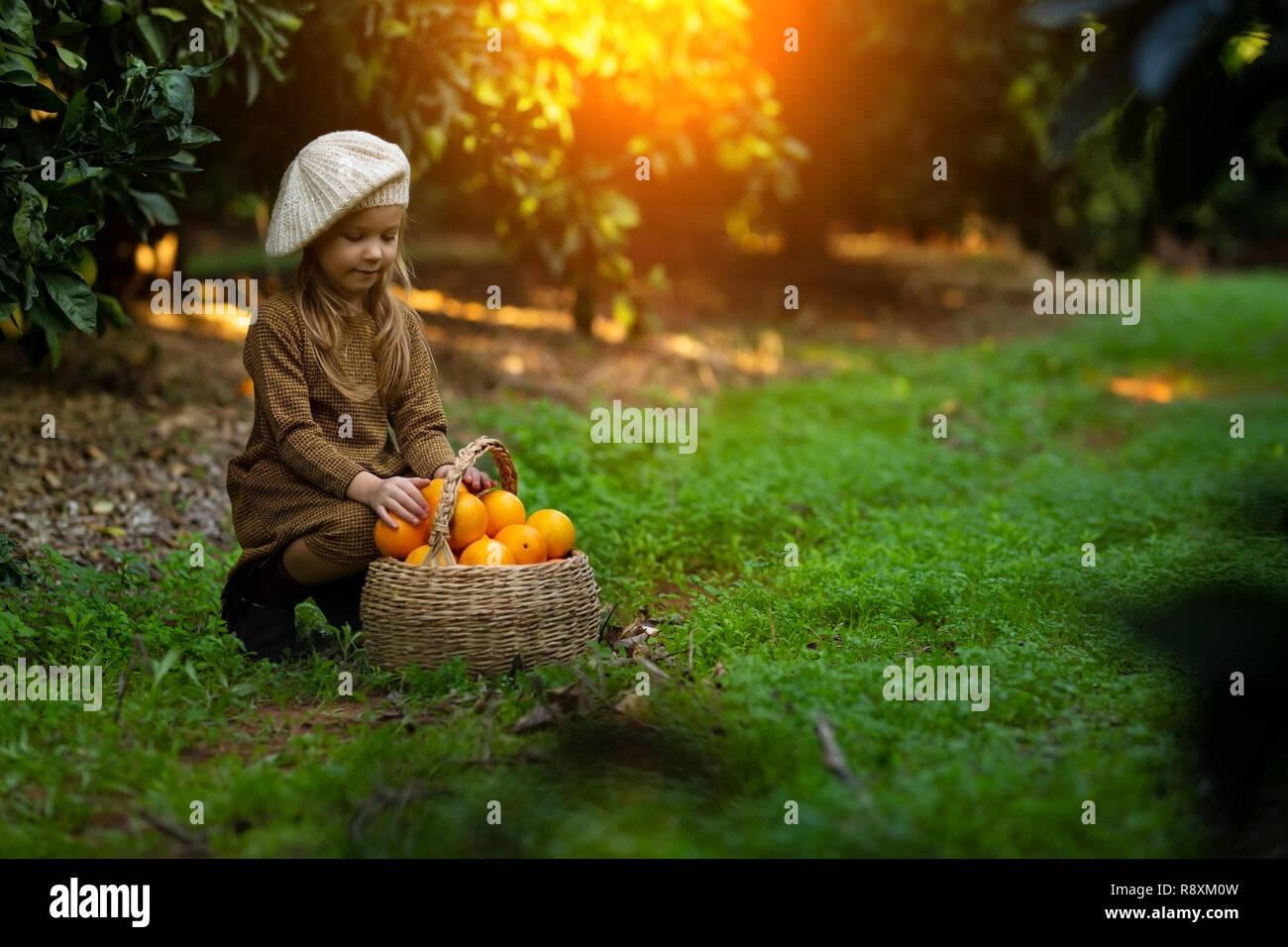 Adorabile bambina picking fresche arance mature nella soleggiata arancio giardino in Italia Foto Stock